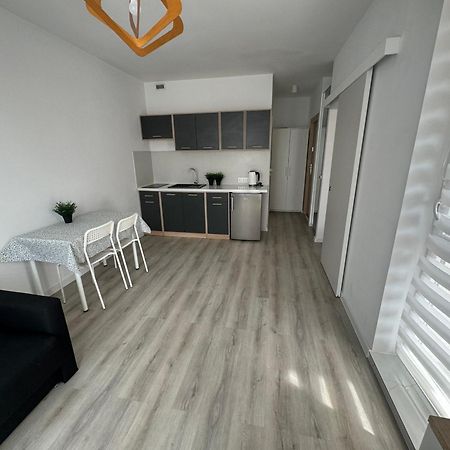דירות פוזנן Apartament Katowicka מראה חיצוני תמונה