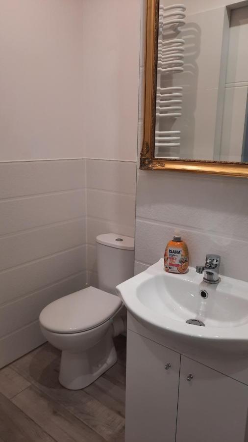דירות פוזנן Apartament Katowicka מראה חיצוני תמונה