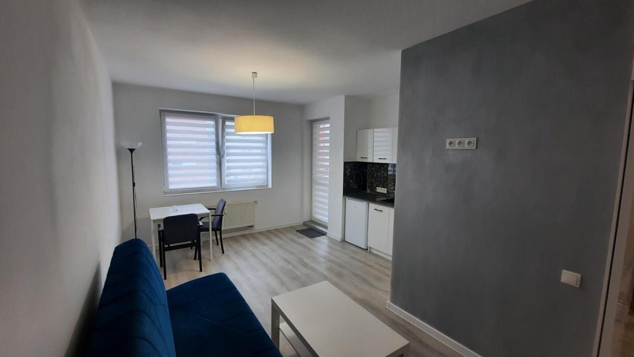 דירות פוזנן Apartament Katowicka מראה חיצוני תמונה