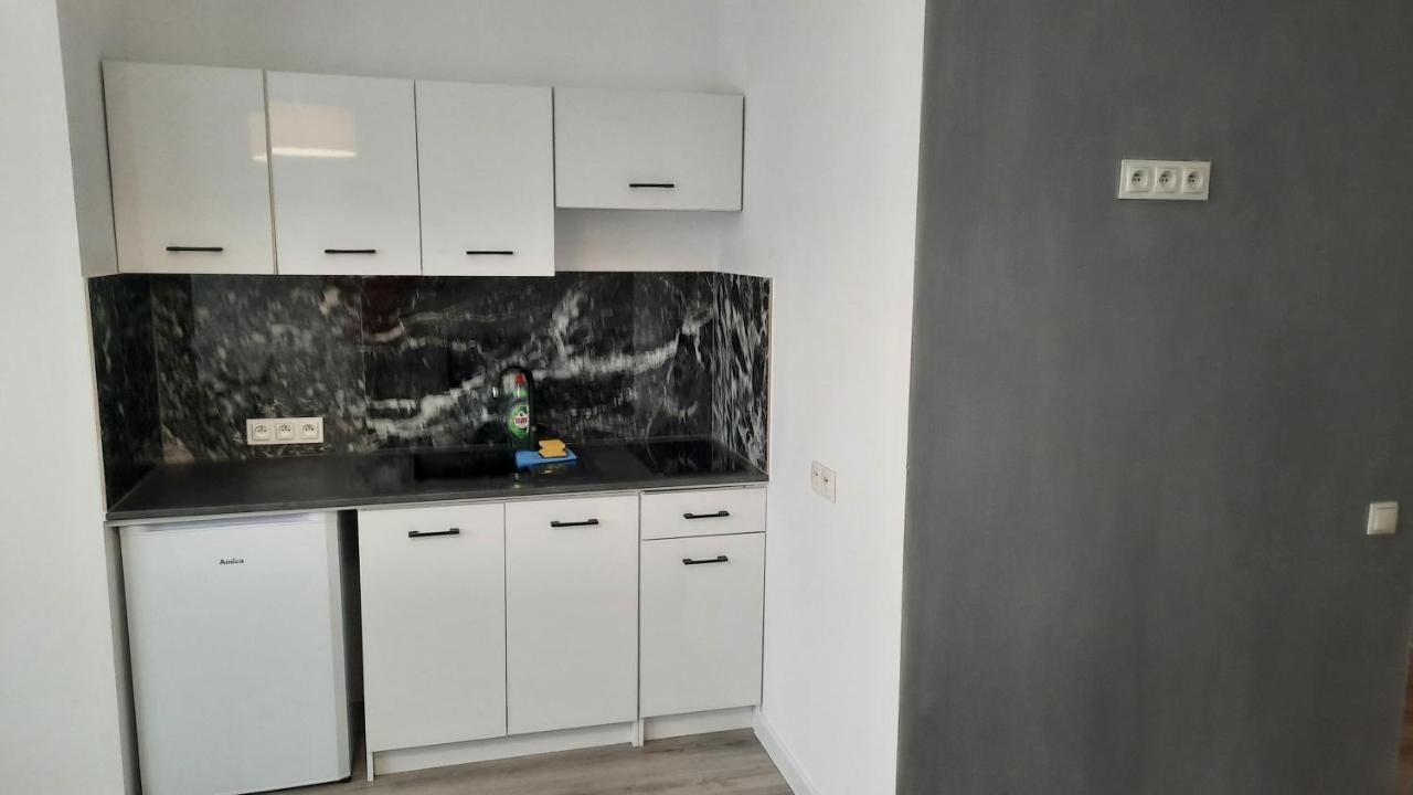 דירות פוזנן Apartament Katowicka מראה חיצוני תמונה